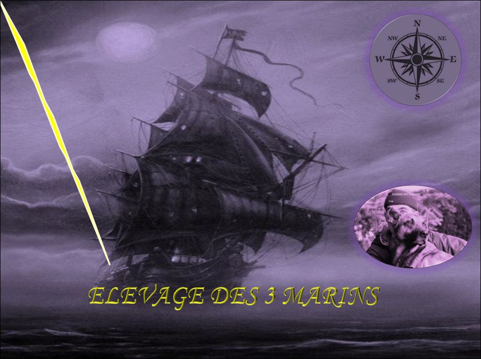 Des Trois Marins - presentation elevage